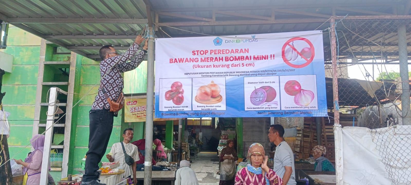 Bawang-bombai-mini.jpg