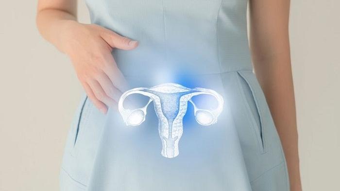 Ilustrasi-rahim-dan-mewaspadai-kanker-rahim.jpg