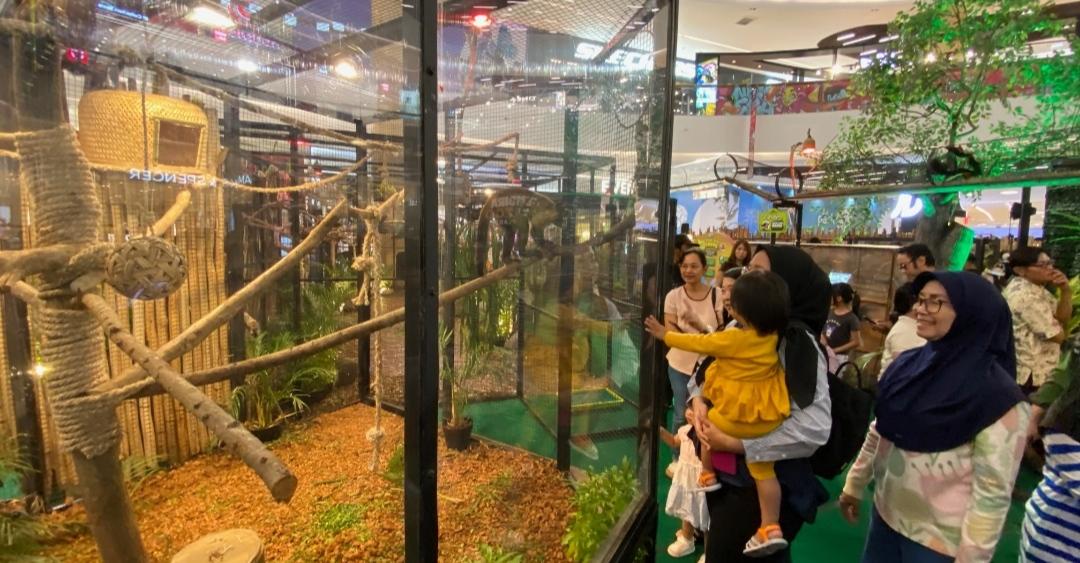 Mall-semarang-jadi-kebun-binatang.jpg