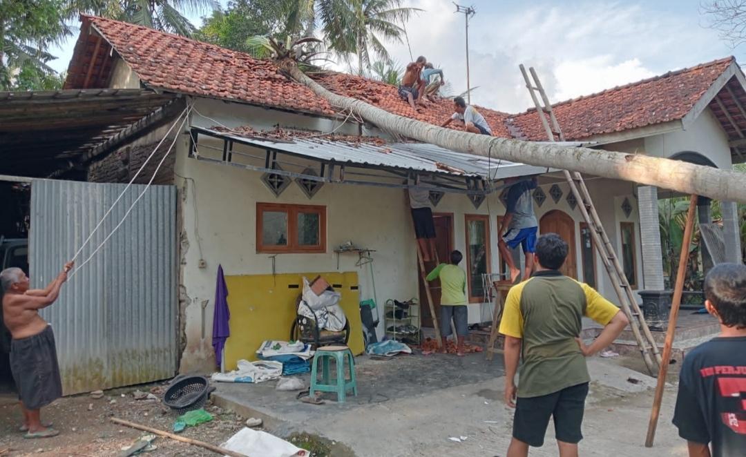 Rumah-rusak-tertimpa-pohon-kelapa-kebumen.jpg
