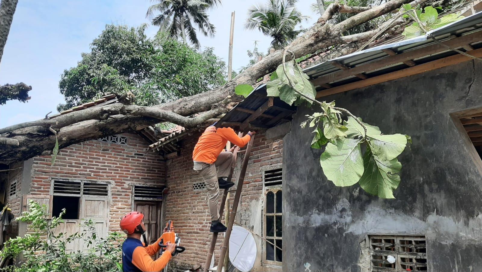 bencana-pohon-timpa-rumah-di-kebumen-jawa-tengah_0.jpg