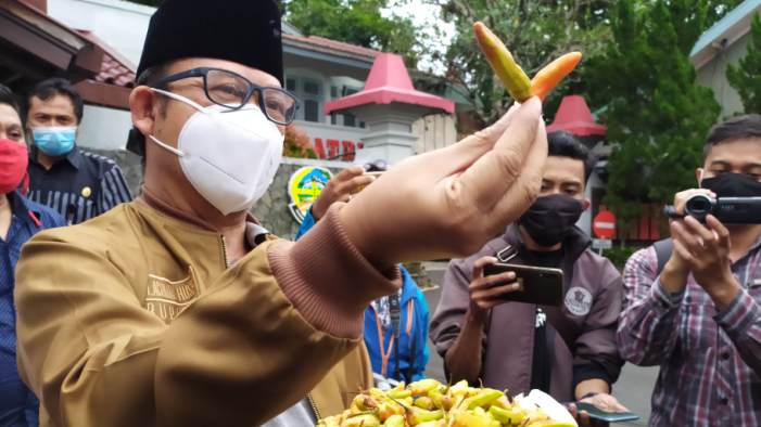 Sebelum Gunakan Cat Semprot, Tersangka Pengecatan Cabai di Banyumas Uji Coba Pakai Minyak Cengkih