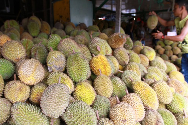 durian.jpg