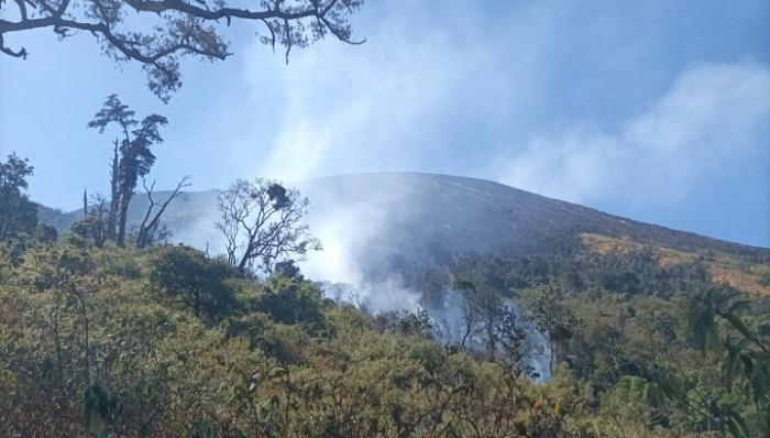 Hutan Gunung Slamet di Jalur Pendakian Guci Tegal Terbakar, 3 Hari Api Belum Berhasil Dipadamkan