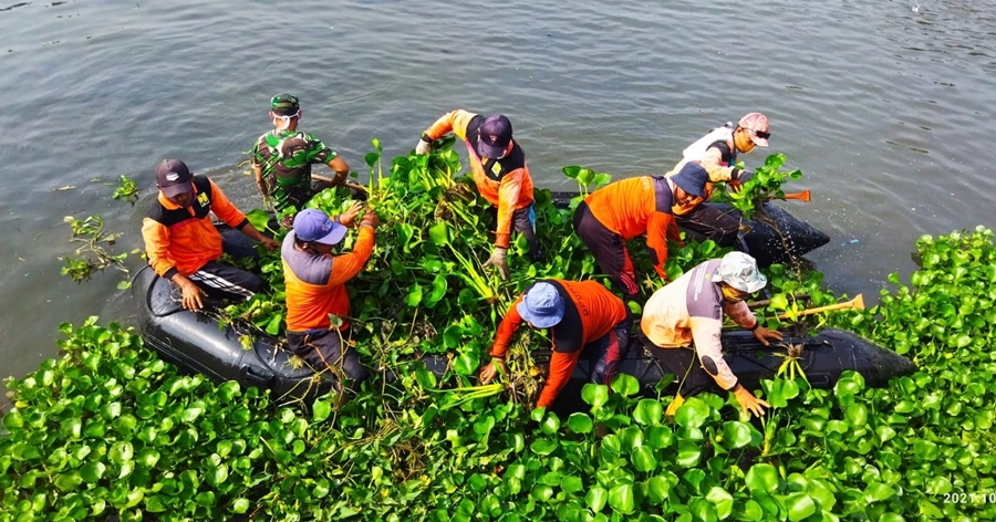 Sepekan Babat Habis Eceng Gondok, Fokus di Kalibuntu dan Kaliaji - Cara Kendal Sambut Penghujan