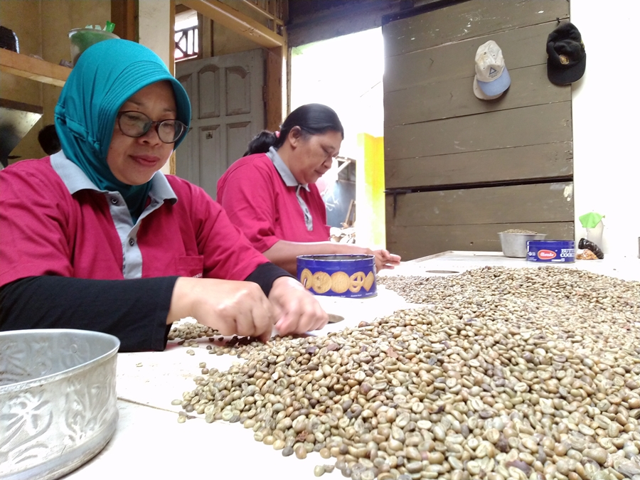 kopi-robusta-temanggung.jpg
