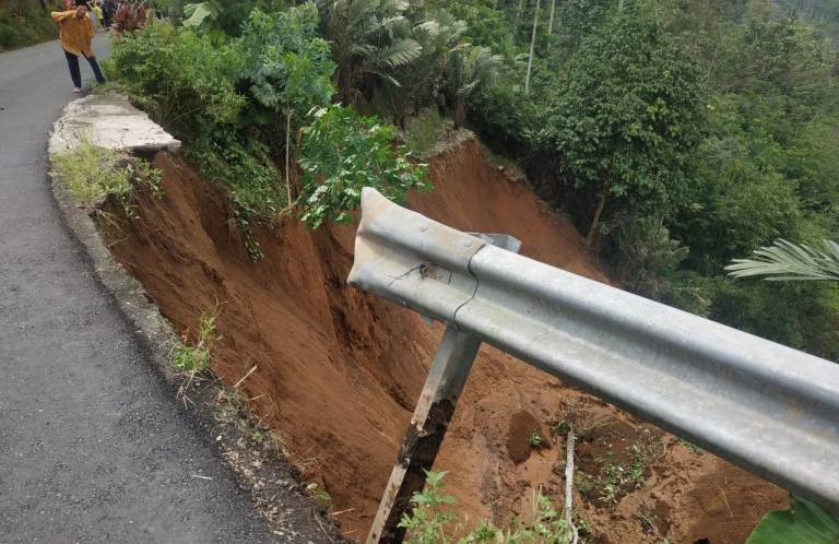 Herman Kaget Saksikan Kebun Salak di Watumalang Wonosobo Terus Bergerak, Bermula dari Gemuruh