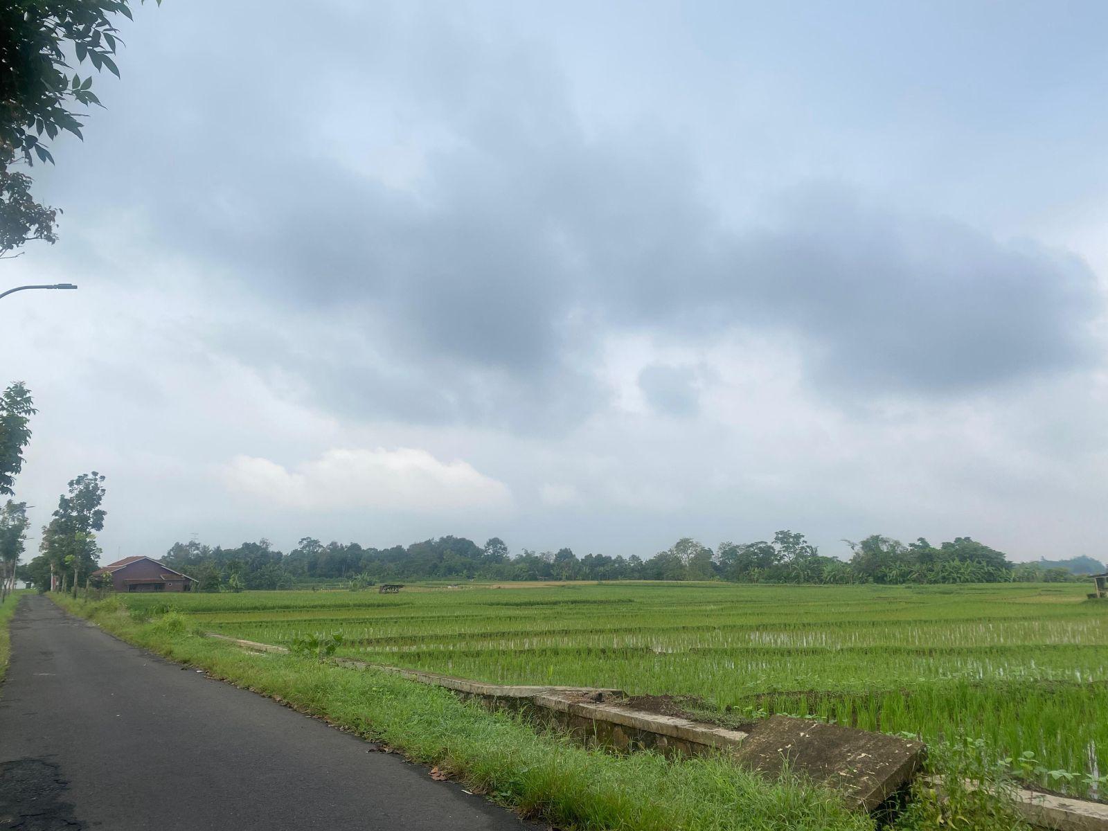 Waspada Hujan! Pagi Ini Kondisi Cuaca di Purbalingga Mendung