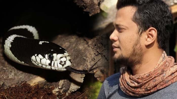 Guruh porno video kompilyatsiya