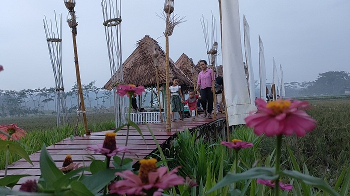 Kreatif! Pemdes Kalimanggis Batang Bangun Wisata Kuliner Ilir Pari 'Tumpang Sari' di Tanah Bengkok