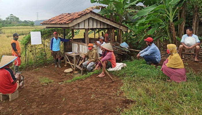 program-mina-padi-bagi-petani-pokdakan-desa-panembangan-cilongok-banyumas.jpg