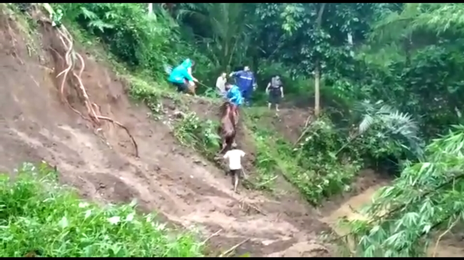 Satu Jembatan dan 4 Rumah Rusak akibat Banjir Longsor di Banjarnegara, BPBD Salurkan Bantuan