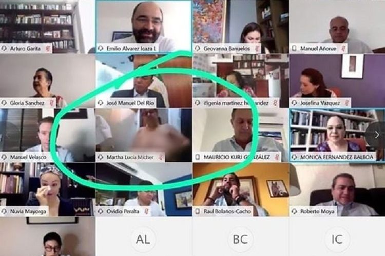 Terekam Telanjang Dada saat Rapat Online via Zoom, Perempuan Senator: Saya Tak Merasa Malu