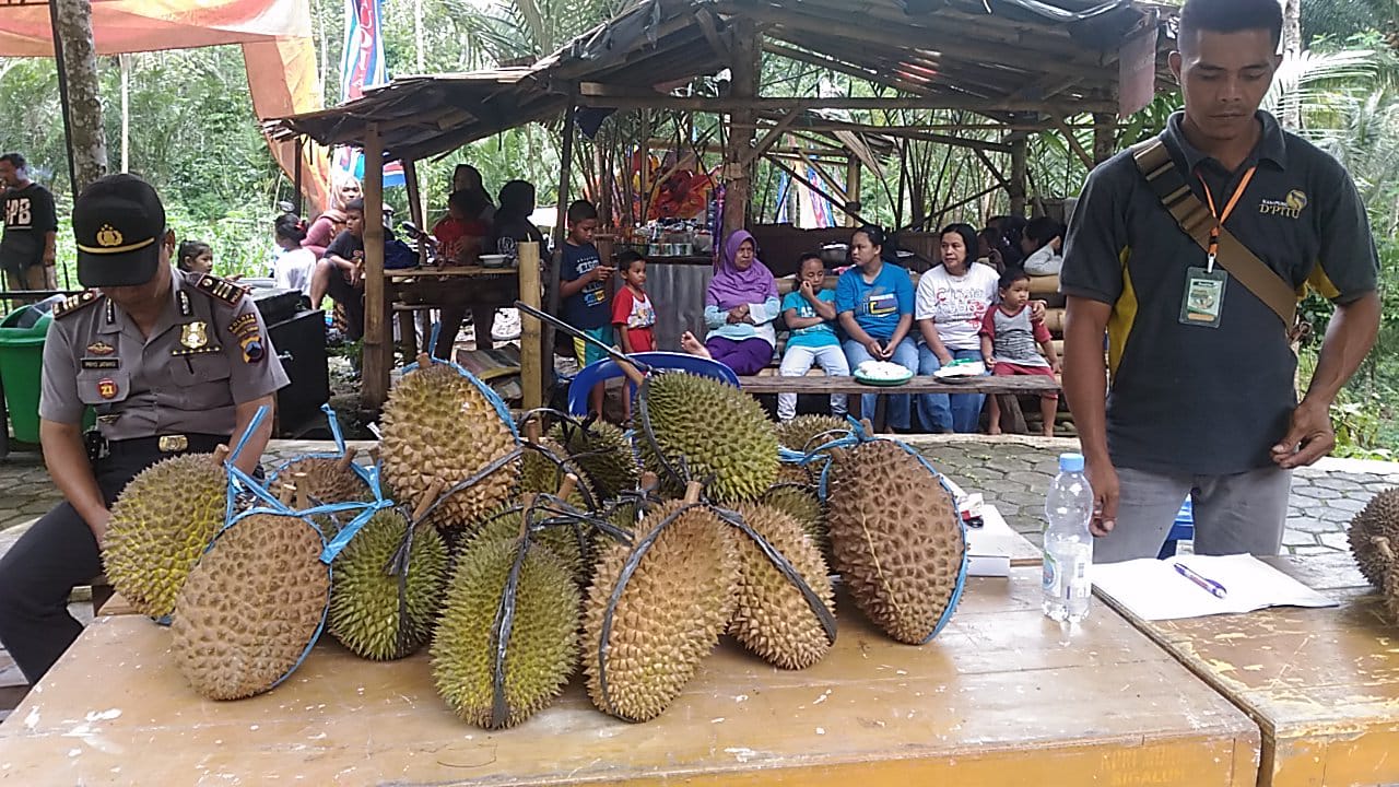 Sensasi Makan Durian di Curug Pitu Sigaluh Banjarnegara, Ada Durian Simimang yang Lagi Digandrungi