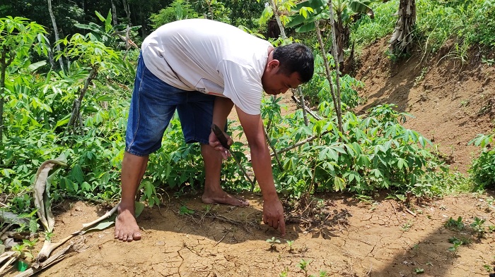 Lagi! Ditemukan Jejak Kaki Diduga Milik Macan di Kepetek Banyumas, BKSDA Masih Ragu