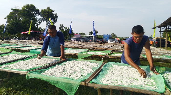 Tak Terdampak Pandemi Covid, Bisnis Teri Nasi Cepiring Kendal Tembus Pasar Jepang