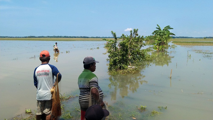 warga-nusawungu-cilacap-menjala-ikan-di-area-sawah-yang-masih-banjir.jpg