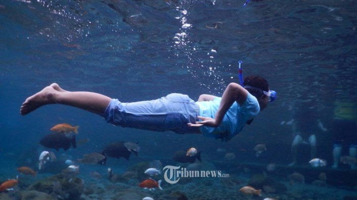 wisatawan-snorkeling-di-umbul-ponggok-klaten.jpg