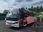 20032025-po-efisiensi-meluncurkan-bus-listrik.jpg