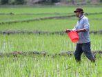 20250621-PUPUK-BERSUBSIDI.jpg