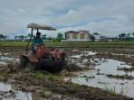 20251027-petani-muda-kebumen.jpg