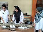 Fosil-gajah-Purba-di-rumah-artefak.jpg
