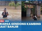 GENDONG-KAMBING-BANJIR.jpg
