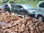Harga-kelapa-mahal-hingga-Rp10-ribu-per-buah.jpg