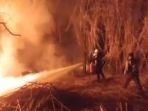 Hutan-Siterus-Dieng-terbakar.jpg