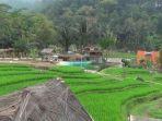Kalikesek-Limbangan.jpg