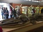 Museum-kartini-di-jepara.jpg