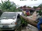 Dampak Angin Kencang di Purbalingga, Mobil Hancur Tertimpa Pohon Tumbang