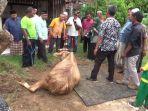 Tak Perlu Restraining Box, Jagal Hewan Kurban di Kendal Cukup Pakai Tali untuk Lumpuhkan Sapi