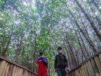 Wisata-Mangrove-Edupark-Semarang_0.jpg