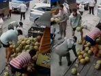 ambil-kelapa-muda.jpg
