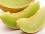 buah-melon.jpg