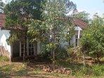 deretan-rumah-kosong-di-kampung-mati-cepoko-gunungpati-semarang.jpg