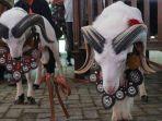 kontes-kambing-etawa-piala-presiden.jpg