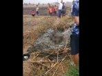 mayat-terbakar-di-persawahan-adiwerna-tegal.jpg