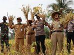 Panen Raya Kedelai Petani Susukan Banjarnegara, Budhi: Tak Cukup, Harus Pandai Cari Terobosan