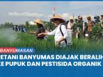 petani-banyumas-pupuk-organik.jpg