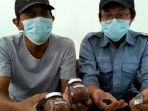 ppkipkt-kabupaten-batang-olah-biji-kakao.jpg