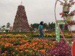 taman-bunga-celosia-semarang.jpg