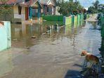 umah-warga-di-cilacap-yang-tergenang-banjir-robist.jpg