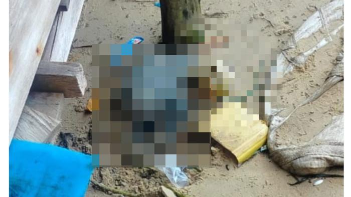 PENEMUAN KERANGKA - Penemuan kerangka diduga manusia di Kampung Teregeh, Desa Sekanah, Kecamatan Lingga Utara, Kabupaten Lingga, Provinsi Kepulauan Riau, pada Minggu (1/2/2026). Anggota polisi sudah ke lokasi untuk melakukan penelusuran dan memastikan kebenaran terhadap kerangka yang ditemukan di bawah rumah warga pesisir pantai Kampung Teregeh.