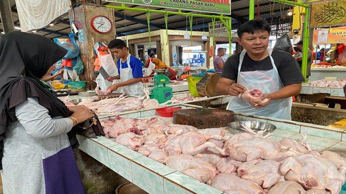 Disdagin Tanjungpinang Bantah Harga Daging Ayam Naik Akibat Ekspor ke Singapura