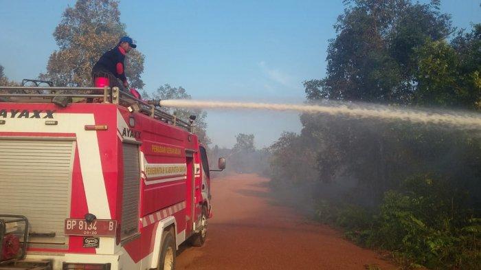 Empat Bulan Sudah 60 Kali Kebakaran Hutan dan Lahan di Bintan, Kapolres Ingatkan Sanksi Bagi Pelaku