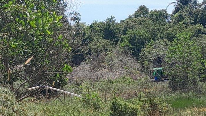 Kapolres Bintan Sikapi Kabar Ada Tambang Pasir Ilegal yang Kembali Beraktivitas