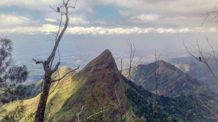 Jatuh ke Jurang Gunung Piramid, Tim SAR Temukan Jasad Multazam dalam Kondisi Telungkup