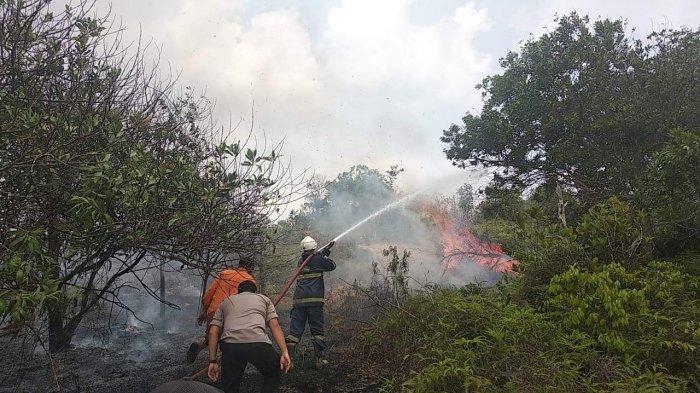 BREAKINGNEWS - Hutan di Kompleks Bandara Hang Nadim Batam Terbakar